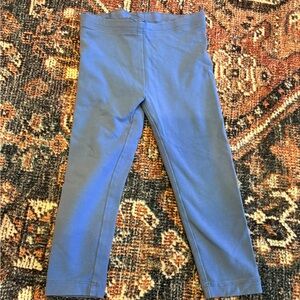 Never Worn Tea Collection Blue Leggings